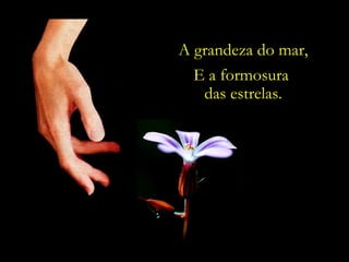A grandeza do mar,
  E a formosura
   das estrelas.
 