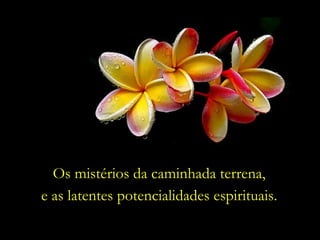 Os mistérios da caminhada terrena,
e as latentes potencialidades espirituais.
 
