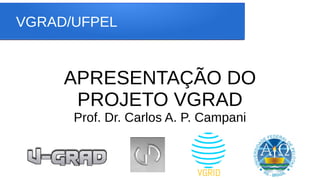 VGRAD/UFPEL
APRESENTAÇÃO DO
PROJETO VGRAD
Prof. Dr. Carlos A. P. Campani
 