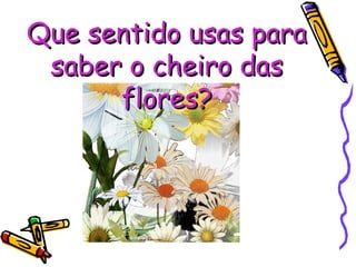 Que sentido usas para saber o cheiro das flores? 