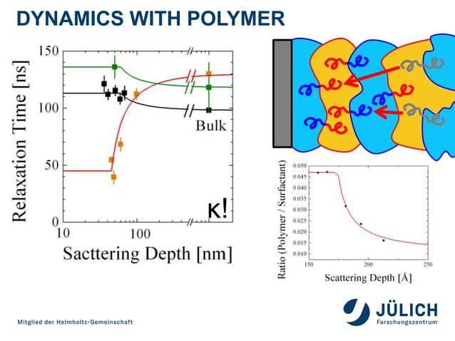 Dynamics of polymeric additives in bicontinuous microemulsions adjacent ...