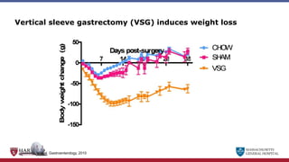 MASSACHUSETTS
GENERAL HOSPITAL
Vertical sleeve gastrectomy (VSG) induces weight loss
Stefater MA et al. Gastroenterology, 2010
 