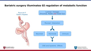 MASSACHUSETTS
GENERAL HOSPITAL
Bariatric surgery illuminates GI regulation of metabolic function
CNS and Systemic Effects
Luminal Changes
(Proximal, Middle and Distal Gut)
Roux-en-Y
Gastric Bypass
Mucosal Interaction
Neuronal Immune
Hormonal
 