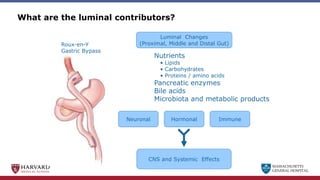 MASSACHUSETTS
GENERAL HOSPITAL
Nutrients
• Lipids
• Carbohydrates
• Proteins / amino acids
Pancreatic enzymes
Bile acids
Microbiota and metabolic products
What are the luminal contributors?
Luminal Changes
(Proximal, Middle and Distal Gut)
Roux-en-Y
Gastric Bypass
Neuronal Immune
Hormonal
CNS and Systemic Effects
 