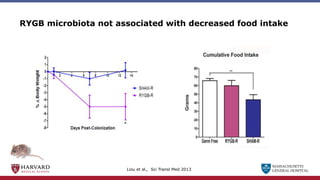 MASSACHUSETTS
GENERAL HOSPITAL
RYGB microbiota not associated with decreased food intake
Liou et al., Sci Transl Med 2013
 