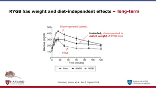 MASSACHUSETTS
GENERAL HOSPITAL
RYGB has weight and diet-independent effects –
0 20 40 60 80 100 120
0
100
200
300
400
500
Sham RYGB
WMSO
**
** ** **
*
*
*
*
*
*
Time (minutes)
Glucose
(mg/dl)
Carmody, Munoz et al., Am J Physiol 2016
long-term
Sham-operated (obese)
RYGB
Underfed, sham-operated to
match weight of RYGB mice
 