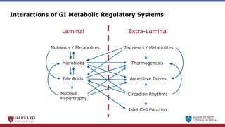 MASSACHUSETTS
GENERAL HOSPITAL
Interactions of GI Metabolic Regulatory Systems
Thermogenesis
Microbiota
Bile Acids
Islet Cell Function
Mucosal
Hypertrophy
Nutrients / Metabolites Nutrients / Metabolites
Circadian Rhythms
Luminal Extra-Luminal
Appetitive Drives
 