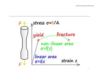 © Norm Tasevski & Karim Harji
5
 