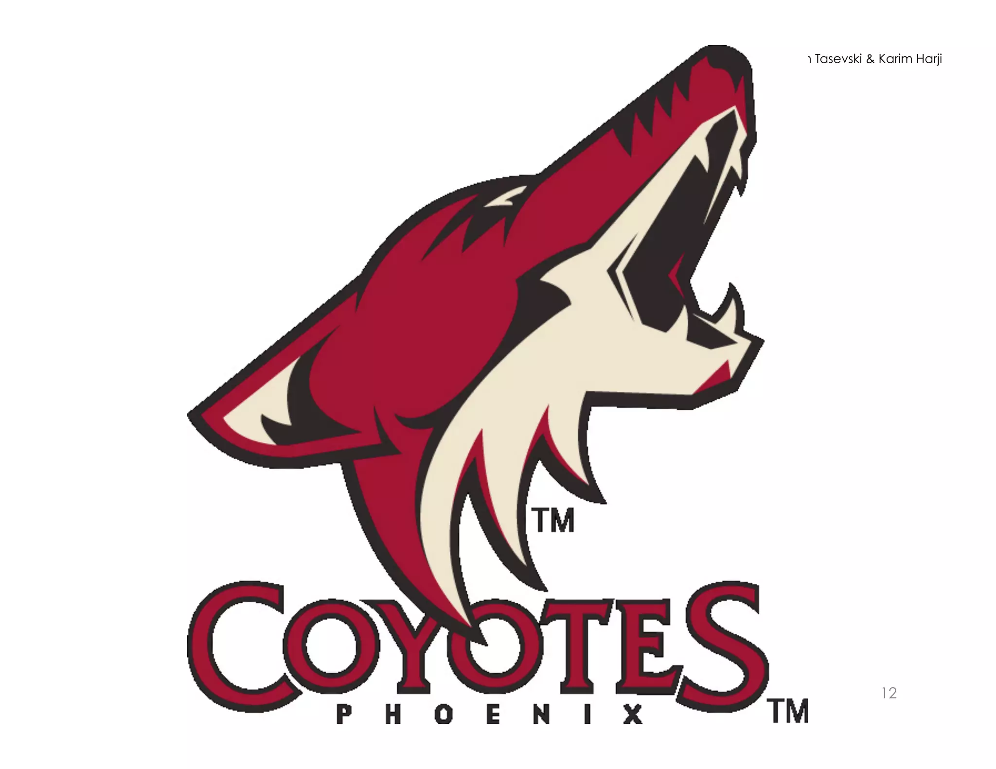 © Norm Tasevski & Karim Harji




                  12
 