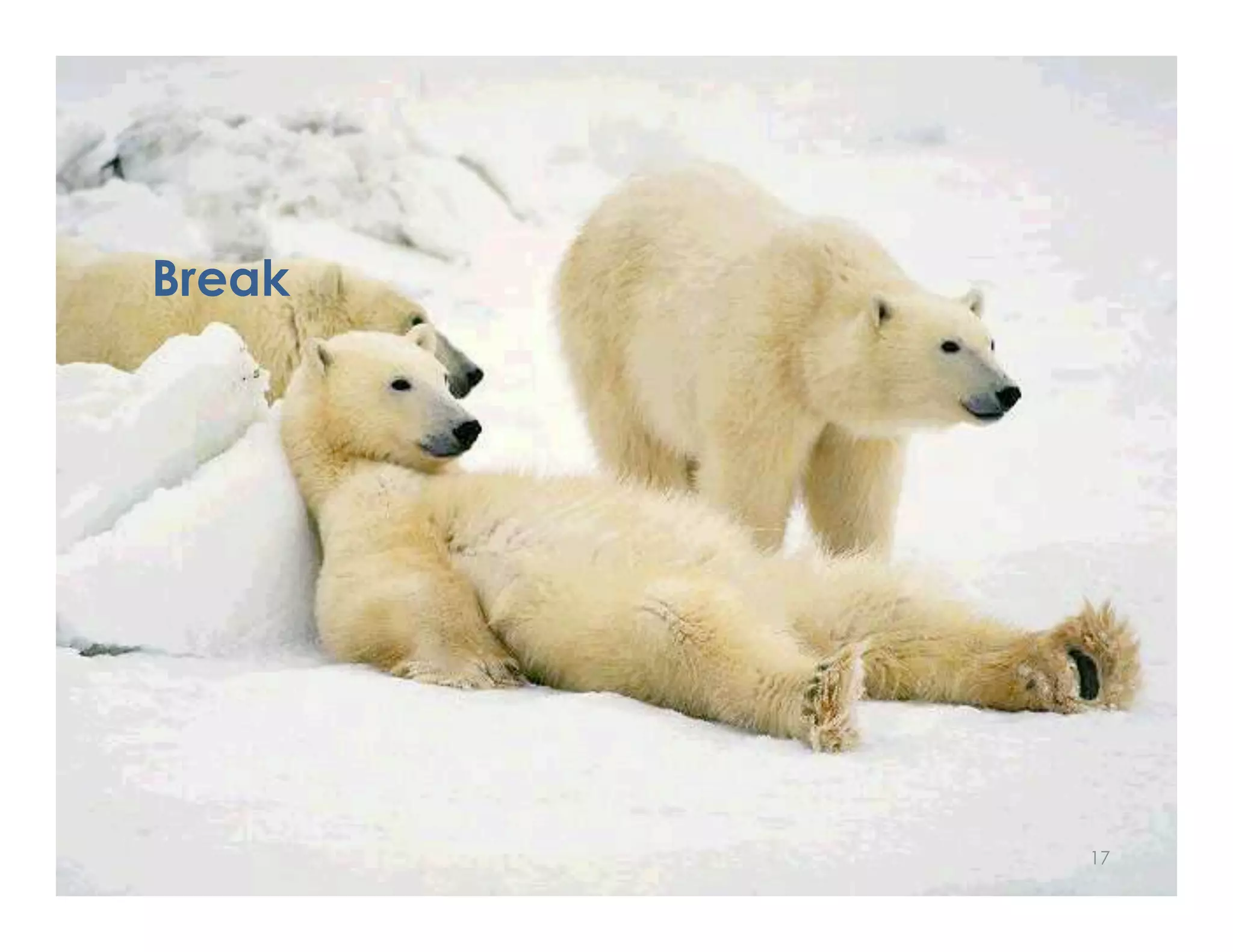 Break




        17
 