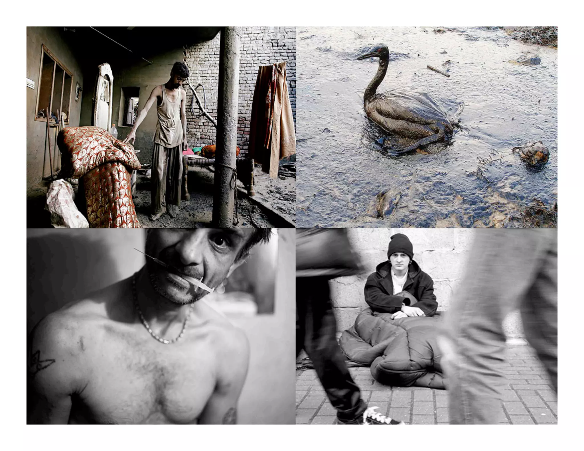 © Norm Tasevski & Karim Harji




                  21
 