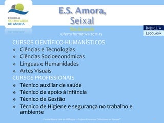 Site da escola                                      ÍNDICE 
                          Oferta formativa 2012-13                                 ESCOLAS

CURSOS CIENTÍFICO-HUMANÍSTICOS
 Ciências e Tecnologias
 Ciências Socioeconómicas
 Línguas e Humanidades
 Artes Visuais
CURSOS PROFISSIONAIS
 Técnico auxiliar de saúde
 Técnico de apoio à infância
 Técnico de Gestão
 Técnico de Higiene e segurança no trabalho e
  ambiente
           Escola Básica Vale de Milhaços – Projeto Comenius “Windows on Europe”      20
 