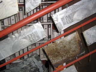 Artist Proof Studio and Mixit Print Studio