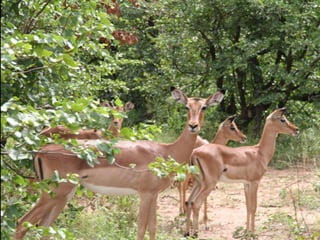 Artist Proof Studio and Mixit Print Studio