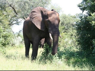 Artist Proof Studio and Mixit Print Studio