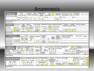 Anamnesis
 