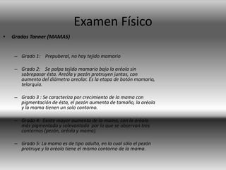 Examen Físico
• Grados Tanner (MAMAS)
– Grado 1: Prepuberal, no hay tejido mamario
– Grado 2: Se palpa tejido mamario bajo la aréola sin
sobrepasar ésta. Areóla y pezón protruyen juntos, con
aumento del diámetro areolar. Es la etapa de botón mamario,
telarquia.
– Grado 3 : Se caracteriza por crecimiento de la mama con
pigmentación de ésta, el pezón aumenta de tamaño, la aréola
y la mama tienen un solo contorno.
– Grado 4: Existe mayor aumento de la mama, con la aréola
más pigmentada y solevantada por lo que se observan tres
contornos (pezón, aréola y mama).
– Grado 5: La mama es de tipo adulto, en la cual sólo el pezón
protruye y la aréola tiene el mismo contorno de la mama.
 