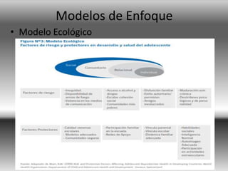 Modelos de Enfoque
• Modelo Ecológico
 