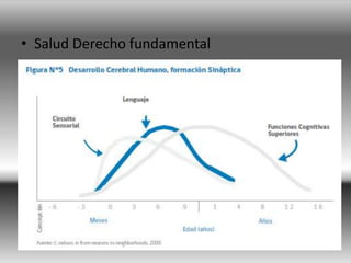• Salud Derecho fundamental
 