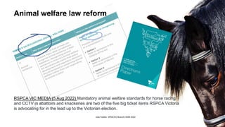 Horse welfare and biosecurity touchpoints | PDF