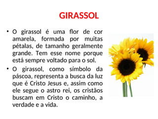 GIRASSOL
• O girassol é uma flor de cor
amarela, formada por muitas
pétalas, de tamanho geralmente
grande. Tem esse nome porque
está sempre voltado para o sol.
• O girassol, como símbolo da
páscoa, representa a busca da luz
que é Cristo Jesus e, assim como
ele segue o astro rei, os cristãos
buscam em Cristo o caminho, a
verdade e a vida.
 