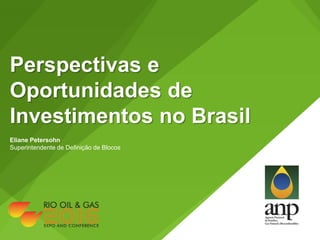 Perspectivas e
Oportunidades de
Investimentos no Brasil
Eliane Petersohn
Superintendente de Definição de Blocos
 