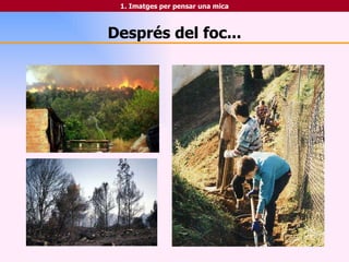 Després del foc... 1. Imatges per pensar una mica 