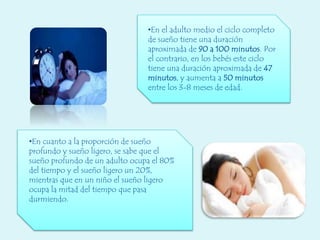 •En el adulto medio el ciclo completo
de sueño tiene una duración
aproximada de 90 a 100 minutos. Por
el contrario, en los bebés este ciclo
tiene una duración aproximada de 47
minutos, y aumenta a 50 minutos
entre los 3-8 meses de edad.
•En cuanto a la proporción de sueño
profundo y sueño ligero, se sabe que el
sueño profundo de un adulto ocupa el 80%
del tiempo y el sueño ligero un 20%,
mientras que en un niño el sueño ligero
ocupa la mitad del tiempo que pasa
durmiendo.
 