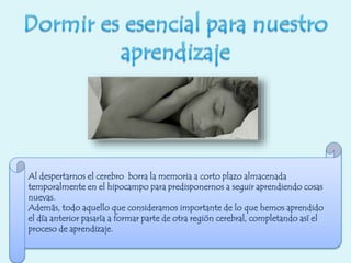 Al despertarnos el cerebro borra la memoria a corto plazo almacenada
temporalmente en el hipocampo para predisponernos a seguir aprendiendo cosas
nuevas.
Además, todo aquello que consideramos importante de lo que hemos aprendido
el día anterior pasaría a formar parte de otra región cerebral, completando así el
proceso de aprendizaje.
 