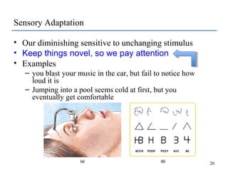 Sensory Adaptation
• Our diminishing sensitive to unchanging stimulus
• Keep things novel, so we pay attention
• Examples
...