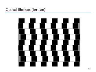 Optical Illusions (for fun)

61

 