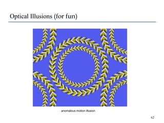 Optical Illusions (for fun)

anomalous motion illusion

62

 