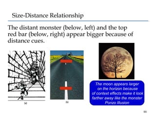 Size-Distance Relationship
The distant monster (below, left) and the top
red bar (below, right) appear bigger because of
d...
