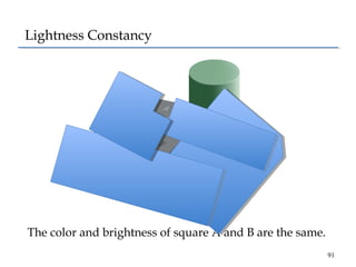 Lightness Constancy

The color and brightness of square A and B are the same.
91

 