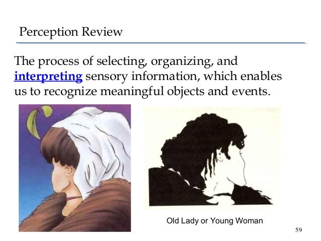 the hermann grid illusion revisited The hermann grid illusion revisited perception 34: 1375–1397 crossref pubmed 22 schrauf m, lingelbach b, wist er (1997) the scintillating grid illusion. the hermann grid illusion revisited The hermann grid illusion revisited perception 34: 1375–1397 crossref pubmed 22 schrauf m, lingelbach b, wist er (1997) the scintillating grid illusion.