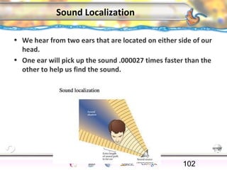 CNS Ignoring Light The Eye Seeing 
Taste/Smell 
Sound The Ear 
Touch/Pain Movement Perception Gestalt Depth cues 
Illusions 
Sound Localization 
• We hear from two ears that are located on either side of our 
head. 
• One ear will pick up the sound .000027 times faster than the 
other to help us find the sound. 
102 
 