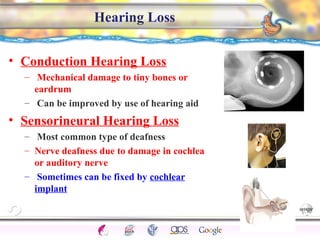 CNS Ignoring Light The Eye Seeing 
Taste/Smell 
Sound The Ear 
Touch/Pain Movement Perception Gestalt Depth cues 
Illusions 
Hearing Loss 
• Conduction Hearing Loss 
– Mechanical damage to tiny bones or 
eardrum 
– Can be improved by use of hearing aid 
• Sensorineural Hearing Loss 
– Most common type of deafness 
– Nerve deafness due to damage in cochlea 
or auditory nerve 
– Sometimes can be fixed by cochlear 
implant 
103 
 