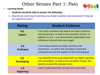 Other Senses Part 1: Pain 
• Learning Goals: 
– Students should be able to answer the following: 
1. How de we sense touch and sense our body’s position and movement? How do 
we experience pain? 
108 
Rating Student Evidence 
4.0 
Expert 
I can teach someone else about our body’s position 
and movement; as well as the sensation of pain. In 
addition to 3.0 , I can demonstrate applications and 
inferences beyond what was taught 
3.0 
Proficient 
I can analyze about our body’s position and 
movement; as well as the sensation of painand 
compare/contrast the Aspects of the learning goal. 
2.0 
Developing 
I can identify terms associated with our body’s position 
and movement; as well as the sensation of pain, but 
need to review this concept more. 
1.0 
Beginning 
I don’t understand this concept and need help! 
 