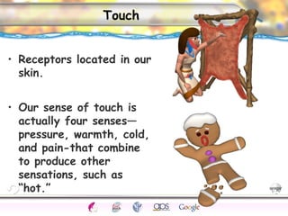 CNS Ignoring Light The Eye Seeing 
Taste/Smell 
Sound The Ear 
Touch/Pain Movement Perception Gestalt Depth cues 
Illusions 
Touch 
• Receptors located in our 
skin. 
• Our sense of touch is 
actually four senses— 
pressure, warmth, cold, 
and pain-that combine 
to produce other 
sensations, such as 
“hot.” 
 