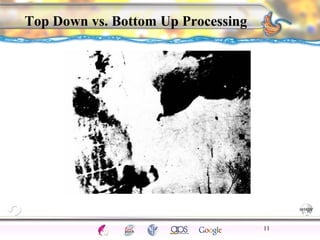 CNS Ignoring Light The Eye Seeing 
Taste/Smell 
Sound The Ear 
Touch/Pain Movement Perception Gestalt Depth cues 
Illusions 
Top Down vs. Bottom Up Processing 
11 
 