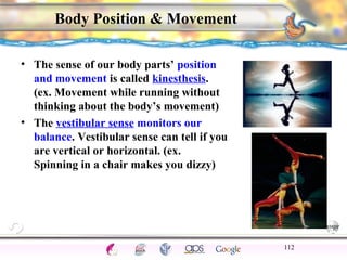 CNS Ignoring Light The Eye Seeing 
Taste/Smell 
Sound The Ear 
Touch/Pain Movement Perception Gestalt Depth cues 
Illusions 
Body Position & Movement 
• The sense of our body parts’ position 
and movement is called kinesthesis. 
(ex. Movement while running without 
thinking about the body’s movement) 
• The vestibular sense monitors our 
balance. Vestibular sense can tell if you 
are vertical or horizontal. (ex. 
Spinning in a chair makes you dizzy) 
112 
 