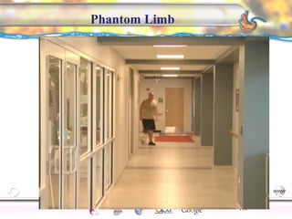 CNS Ignoring Light The Eye Seeing 
Taste/Smell 
Sound The Ear 
Touch/Pain Movement Perception Gestalt Depth cues 
Illusions 
Phantom Limb 
116 
 