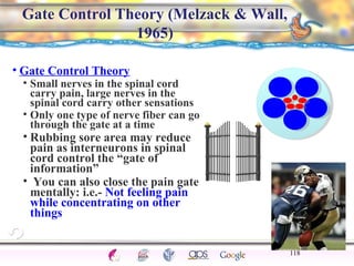 CNS Ignoring Light The Eye Seeing 
Taste/Smell 
Sound The Ear 
Touch/Pain Movement Perception Gestalt Depth cues 
Illusions 
Gate Control Theory (Melzack & Wall, 
1965) 
• Gate Control Theory 
• Small nerves in the spinal cord 
carry pain, large nerves in the 
spinal cord carry other sensations 
• Only one type of nerve fiber can go 
through the gate at a time 
• Rubbing sore area may reduce 
pain as interneurons in spinal 
cord control the “gate of 
information” 
• You can also close the pain gate 
mentally: i.e.- Not feeling pain 
while concentrating on other 
things 
118 
 