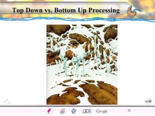 CNS Ignoring Light The Eye Seeing 
Taste/Smell 
Sound The Ear 
Touch/Pain Movement Perception Gestalt Depth cues 
Illusions 
Top Down vs. Bottom Up Processing 
12 
 