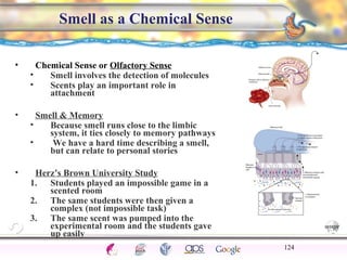 CNS Ignoring Light The Eye Seeing 
Taste/Smell 
Sound The Ear 
Touch/Pain Movement Perception Gestalt Depth cues 
Illusions 
Smell as a Chemical Sense 
• Chemical Sense or Olfactory Sense 
• Smell involves the detection of molecules 
• Scents play an important role in 
attachment 
• Smell & Memory 
• Because smell runs close to the limbic 
system, it ties closely to memory pathways 
• We have a hard time describing a smell, 
but can relate to personal stories 
• Herz’s Brown University Study 
1. Students played an impossible game in a 
scented room 
2. The same students were then given a 
complex (not impossible task) 
3. The same scent was pumped into the 
experimental room and the students gave 
up easily 
124 
 