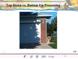 CNS Ignoring Light The Eye Seeing 
Taste/Smell 
Sound The Ear 
Touch/Pain Movement Perception Gestalt Depth cues 
Illusions 
Top Down vs. Bottom Up Processing 
13 
 