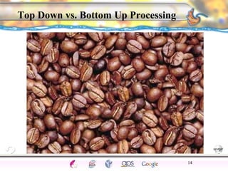 CNS Ignoring Light The Eye Seeing 
Taste/Smell 
Sound The Ear 
Touch/Pain Movement Perception Gestalt Depth cues 
Illusions 
Top Down vs. Bottom Up Processing 
14 
 