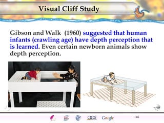 CNS Ignoring Light The Eye Seeing 
Taste/Smell 
Sound The Ear 
Touch/Pain Movement Perception Gestalt Depth cues 
Illusions 
Visual Cliff Study 
Gibson and Walk (1960) suggested that human 
infants (crawling age) have depth perception that 
is learned. Even certain newborn animals show 
depth perception. 
146 
 