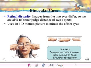 CNS Ignoring Light The Eye Seeing 
Taste/Smell 
Sound The Ear 
Touch/Pain Movement Perception Gestalt Depth cues 
Illusions 
Binocular Cues 
• Retinal disparity: Images from the two eyes differ, so we 
are able to better judge distance of two objects. 
• Used in 3-D motion picture to mimic the offset eyes. 
147 
TRY THIS 
Two eyes are better than one: 
Close one eye an touch 
two pencil tips together 
 