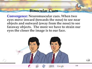 CNS Ignoring Light The Eye Seeing 
Taste/Smell 
Sound The Ear 
Touch/Pain Movement Perception Gestalt Depth cues 
Illusions 
Binocular Cues 
Convergence: Neuromuscular cues. When two 
eyes move inward (towards the nose) to see near 
objects and outward (away from the nose) to see 
faraway objects. The more we have to strain our 
eyes the closer the image is to our face. 
148 
 
